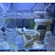thumbnail image 2 of Bolsa Reutilizable de Coral para Filtro de Acuario Lighibeuty, 2 of 8