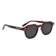 thumbnail image 2 of Lentes Sol Mujer Hombre Polarizado Original Springfield Café, 2 of 6