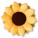 thumbnail image 1 of Almohada Green Philosophy Co. 51 cm Amarillo Dorado, 1 of 9