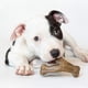 thumbnail image 2 of Chew Toys Benebone Puppy, paquete de 2 unidades, masticable y espoleta dental para perro, 2 of 6