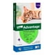 thumbnail image 2 of PACK Antiparasitario Pipeta - Advantage Gato 4-8Kg, 2 of 3