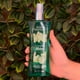 thumbnail image 5 of Fragancias Body Fantasies cucumber melon 236ml, 5 of 5