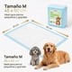 thumbnail image 3 of 100 Pañales Sabanillas Mascotas Perros 45x60 Cm Calidad Stantard Absorvente Homer Design Celeste, 3 of 8