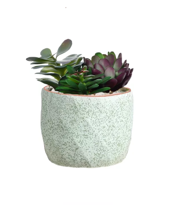 Genérico - Macetero Geométrico Cerámica Suculentas 7.2X6Cm Pack 10 Verde