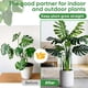 thumbnail image 4 of Estacas ajustables de soporte para plantas HiGift de 32 pulgadas, resistentes, 6 piezas, 4 of 7