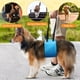 thumbnail image 3 of Soporte de elevación de perros y arnés de rehabilitación para perros con piernas traseras débiles ayudan a personas mayores con discapacidad lesionadas en las articulaciones (m), 3 of 3