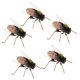 thumbnail image 3 of 5 Uds Simulación De Insecto Artificial Modelo Ni?os Juguetes Educativos Abeja, 3 of 5