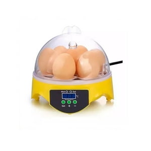 Masterprox - Incubadora 7 Huevos Control Temperatura Led Digital