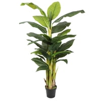 Vadell - Banano 180 Cm