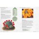 thumbnail image 3 of Cultivar cactus y suculentas, 3 of 5
