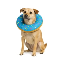 Genérico - Collar Dona Para Mascotas Anti-Lamido Talla Xl Celeste Xl