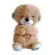 thumbnail image 1 of Muñeco De Peluche De Nutria Marina, Juguete De Bebé De Peluche Suave Para Coleccionables, Fiesta Temática, Marrón, 1 of 3