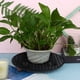 thumbnail image 4 of Soporte para plantas JiaUfmi de plástico negro de 30 cm, 6 piezas, 4 of 7