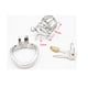 thumbnail image 1 of Stainless Steel Male Lockable Chastity Device with Silicone Urethral Catheter Hollow Cock Cage BDSM Restraint Penis Rings Man, 1 of 3
