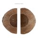 thumbnail image 5 of Refugio para reptiles Niteangel 13 cm Pack de 2 Natural, 5 of 6