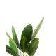 thumbnail image 2 of Planta Artificial 1.15m con Maceta, 2 of 3