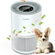 thumbnail image 1 of Purificador de aire LUNINO H13 True HEPA para habitaciones grandes de 1200 pies cuadrados, 1 of 3