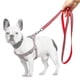 thumbnail image 2 of Correa de paseo Para Perros Diseño plano en Nylon 110x2 cm Naranjo, 2 of 2