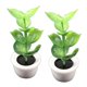 thumbnail image 1 of 2 Piezas 1:12 Escala Casa De Mu?ecas Miniaturas Planta Verde árbol Plantas Modelo Decoración, 1 of 5