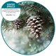 thumbnail image 2 of Ambientador enchufable Fresh Products Ourfreshe Winter Spruce, 2 of 7