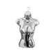 thumbnail image 2 of Maniquí femenino Torso exhibición Torso cuerpo ropa interior exhibición espalda hueca cuerpo maniquí gancho colgante para tienda espectáculos de ropa Plata, 2 of 5