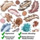thumbnail image 3 of Paleta de sombras de ojos BestLand 35 colores mate y brillo, 3 of 9