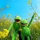 thumbnail image 5 of Marioneta NICERINC Kermit Frog The Muppet Show con 50 pegatinas, 5 of 7