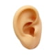 thumbnail image 3 of Modelo De Oreja De Silicona Reutilizable Para Exhibición De Aretes Y Venta De Fotos Oreja Izquierda, 3 of 5