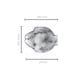 thumbnail image 4 of Set De 6 Plato Marine 260*210 Mm. Mediano, 4 of 4