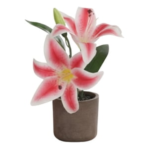 Genérico - Set 2 Planta Artificial Decorativa Lirios Adorno Hogar Jhn