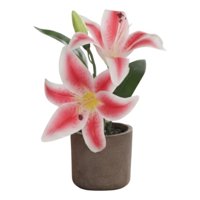 Genérico - Set 2 Planta Artificial Decorativa Lirios Adorno Hogar Jhn