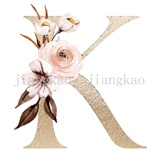 Personalised Name Initial Backpack with Pink Gold Letter Design Girls Kid Nursery Child Pre School Rucksack School Bag Backpack