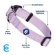 thumbnail image 3 of Collar para perro Blueberry Pet Essentials, lavanda, nailon, tamaño mediano, 3 of 6