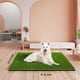 thumbnail image 2 of Alfombrilla de césped artificial CooZero Professional Dog Poder Training, 2 of 7