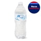 thumbnail image 1 of Agua Botella Purificada sin Gas, 500 ml, 1 of 1