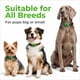 thumbnail image 4 of Placa antipulgas y garrapatas FurLife gris impermeable para perros, 4 of 9
