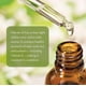 thumbnail image 3 of Aceite facial Pure Body Naturals Marula 30 ml 100% natural, 3 of 8