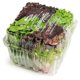 thumbnail image 1 of Lechuga Premium, 1 Un, 1 of 2