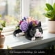 thumbnail image 3 of Maceta para suculentas Building Blocks Tuxedo Cat Rose Bouquet, 3 of 7