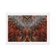 thumbnail image 1 of Cuadro Plumas Café Cobre con Marco Blanco 50x40 CM, 1 of 1