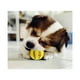 thumbnail image 3 of Pelota Mascotas De Juguete Para Limpieza De Dientes - Ps, 3 of 4