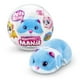 thumbnail image 1 of Hamster Caminador En Bola Pets Alive Zuru - Celeste, 1 of 3