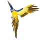 thumbnail image 1 of Realista Pájaro Artificial Pluma Loro Modelo Moderno Para El Hogar Jardín Porche Azul Amarillo, 1 of 5