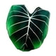 thumbnail image 2 of Manta con Forma de Hoja Verde 130cmx150cm, 2 of 3