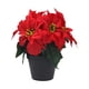 thumbnail image 5 of Flores De Nochebuena Artificiales Para Decoración De Interiores Y Exteriores: Chimeneas, Porches Y Hogar., 5 of 5