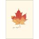 thumbnail image 2 of Set de tarjetas de notas Earth Sky + Water 9 × 13 cm – 8 unidades, 2 of 4