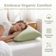 thumbnail image 3 of Protector de Almohada de Alta Calidad REGALWOVEN para Uso en Hogar y Hotel con Protección contra Alérgenos Verde Queen, 3 of 5