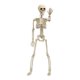 thumbnail image 1 of Adorno De Calavera Con Esqueleto De Halloween Para Interiores Y Exteriores, Casa Embrujada M, 1 of 2