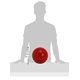 thumbnail image 3 of Pelota Pushn-Play de juguete para perros Jolly Pets, 10 pulgadas, roja, para personas mayores, 3 of 3