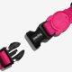 thumbnail image 2 of Zeedog Collar para Perros Pink Led Medium, 2 of 3